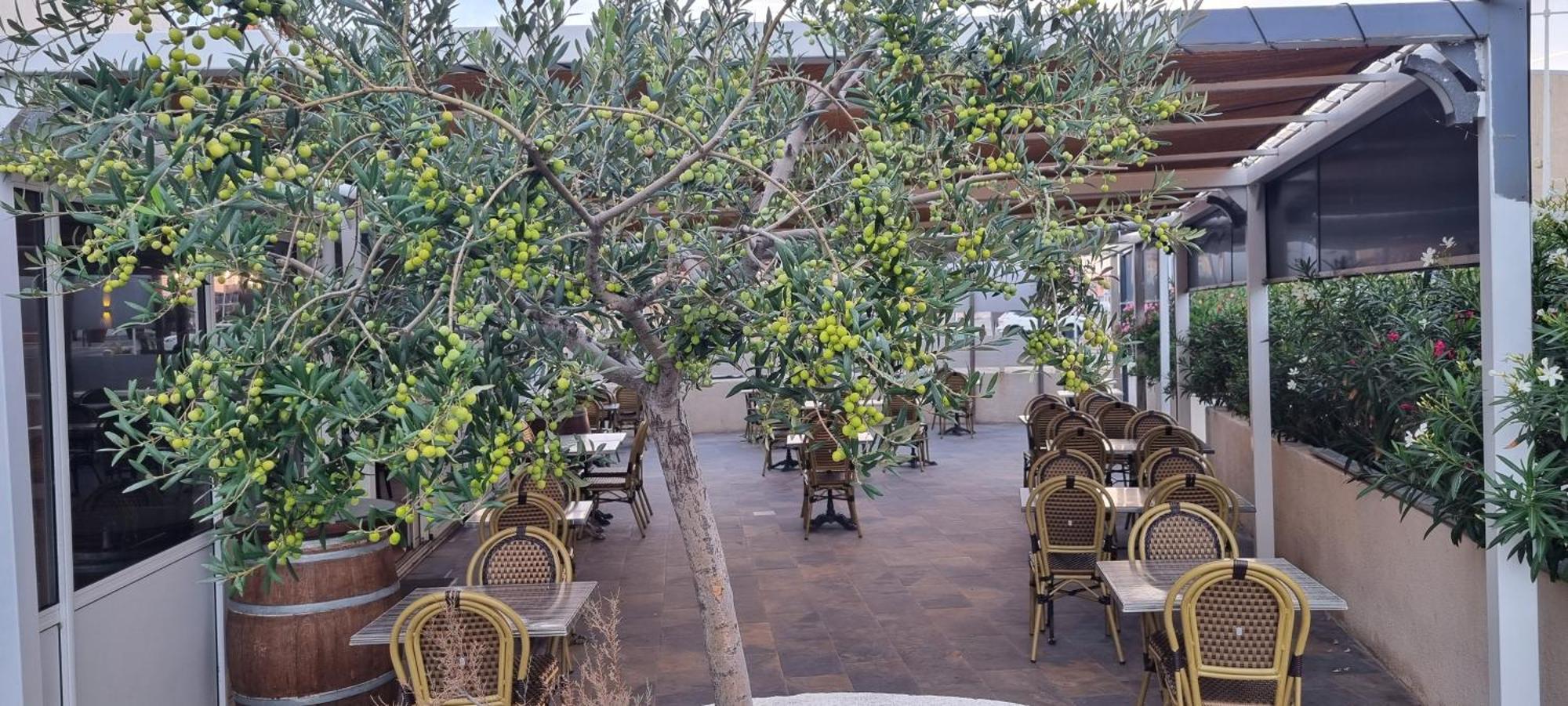 Hotel Restaurant Calypso, à 10 m de la plage Fos-sur-Mer Esterno foto